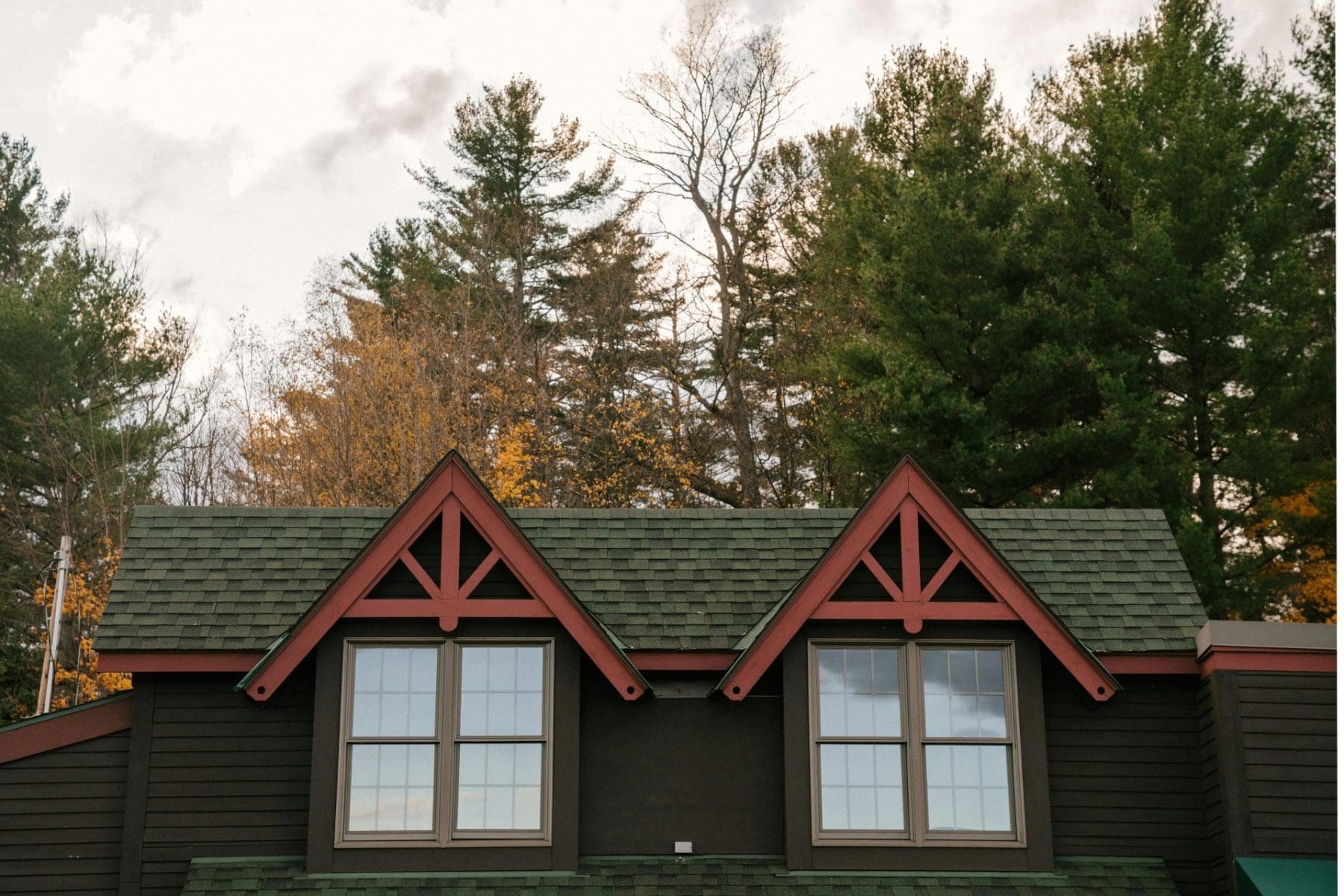 Top 5 Tips on How to Prevent Tree Damage to Your Roof