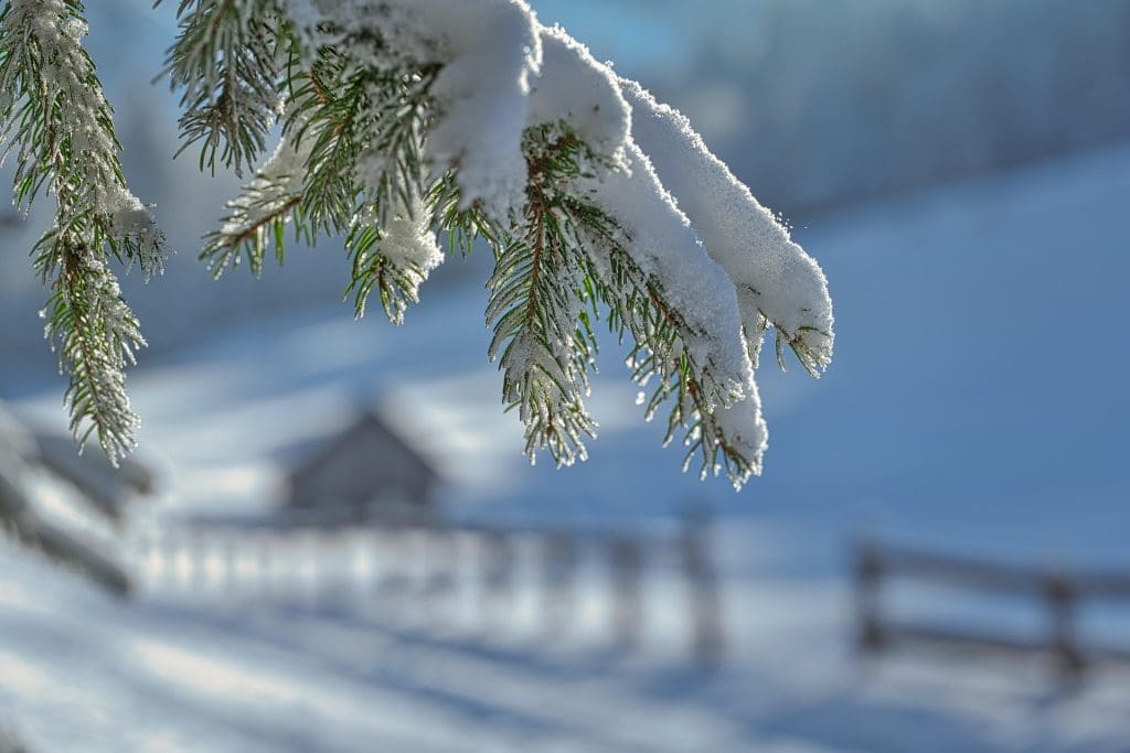 common roofing problems during winter in eastern tennessee for roof repair and maintenance