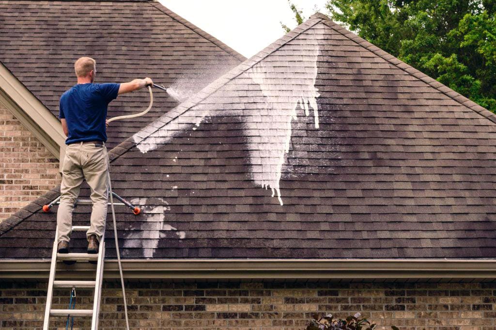 Keeping Your Roof Free of Black Mold