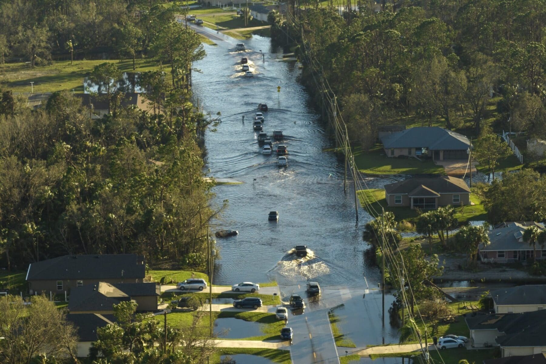 Flash Floods Can Soak Your Roof – Trust a VFL to Keep You Dry