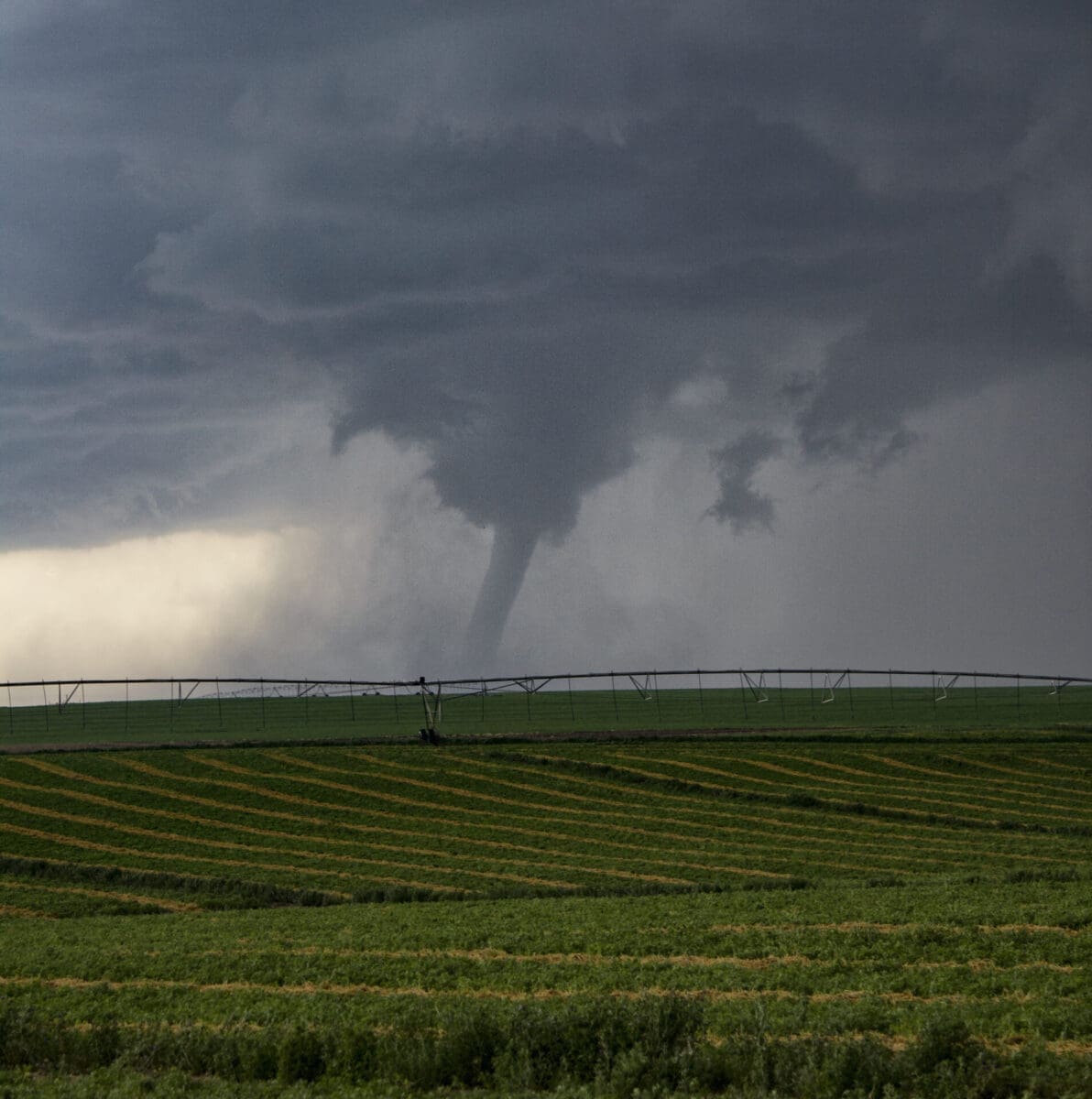 Tornado touching down in a green field under a stormy sky.