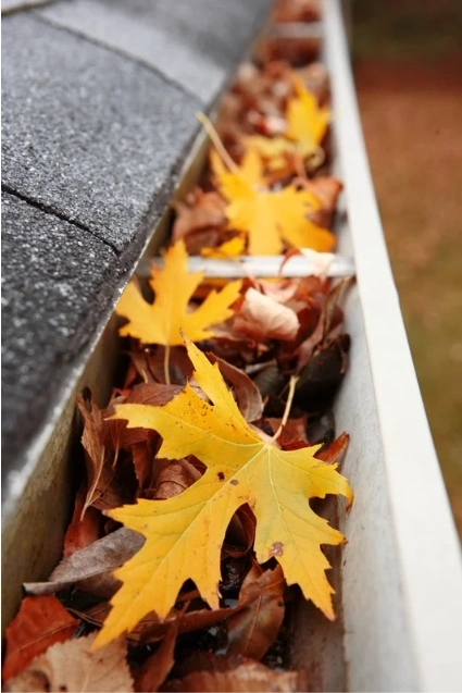Gutter maintenance and cleaning